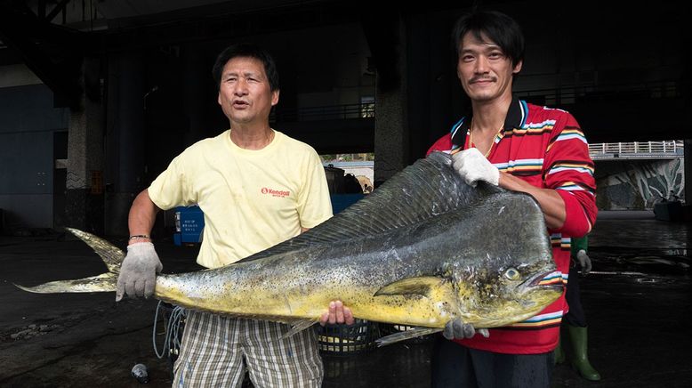 Taiwan: Die Insel der Fische