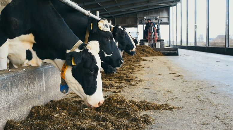 Nelson Müllers Milch-Report - Frisch, gesund, gut für die Umwelt?