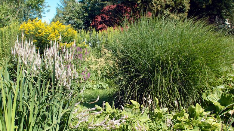 Schnittgut. Alles aus dem Garten