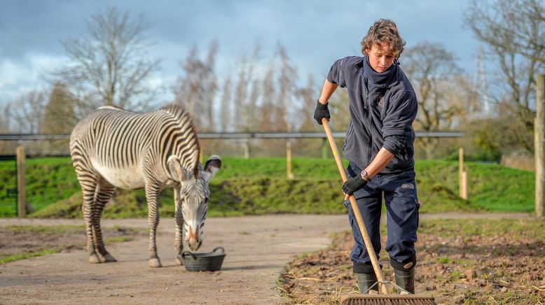 Zoo und so - Tierisch wild!