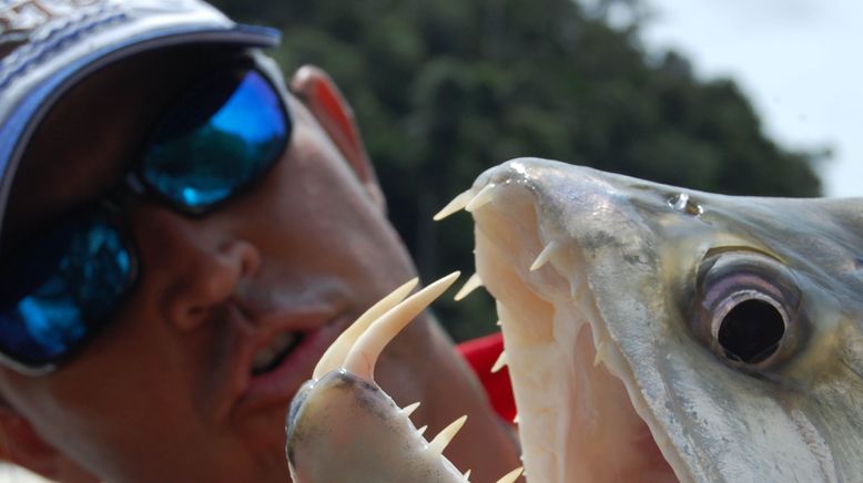 Auf der Suche nach dem Monsterfisch