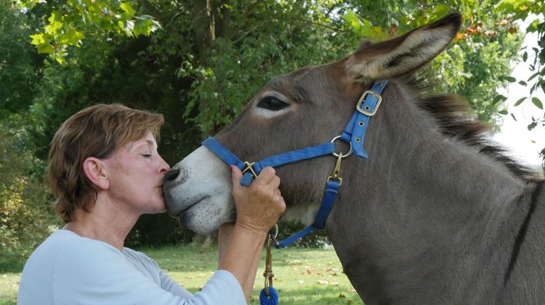 Tierische Freundschaften