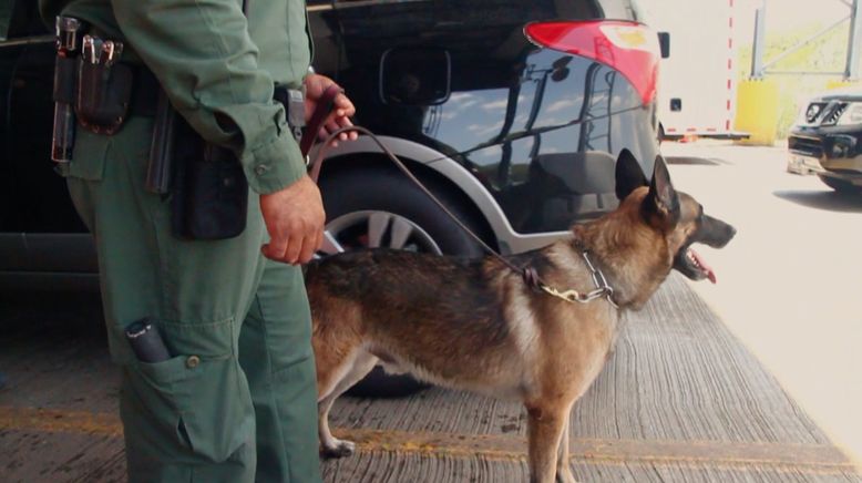 Amerikas heiße Grenze: Die Hundestaffel