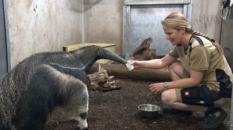 Frau Doktor und die wilden Tiere