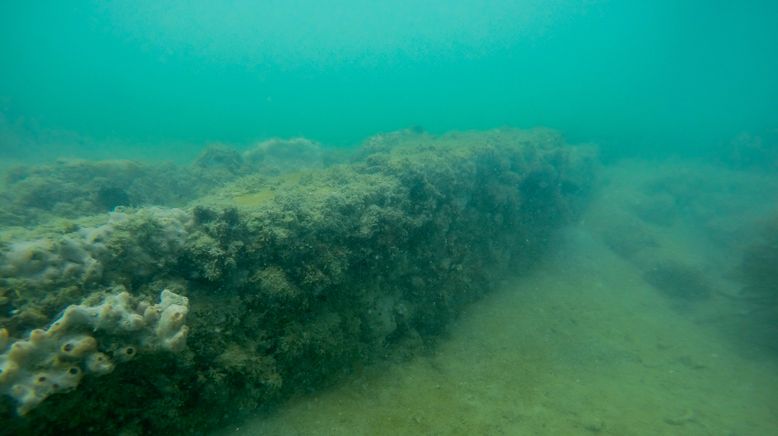 Enthüllt: Geheimnisse der Meere