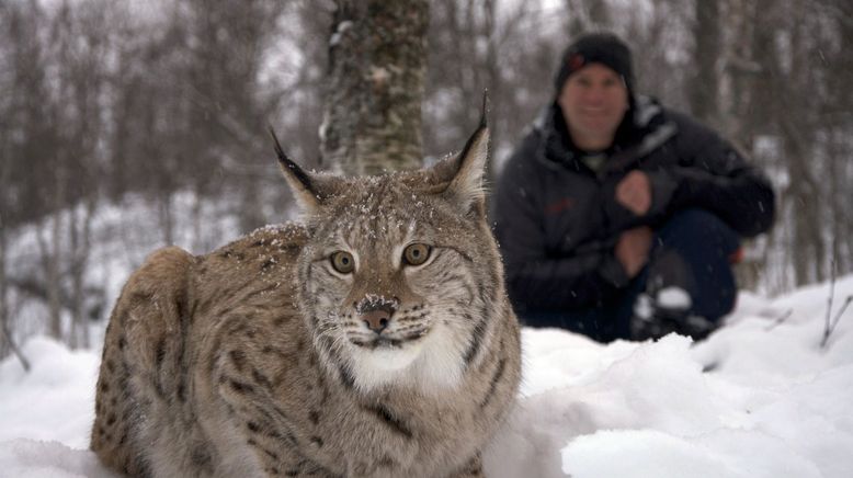 Deadly 60 - Die gefährlichsten Tiere der Welt