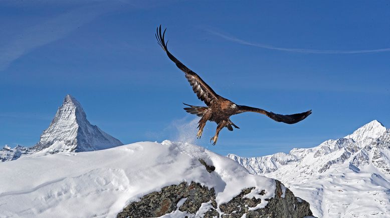 Die Alpen