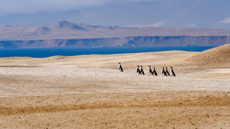 Wildes Peru