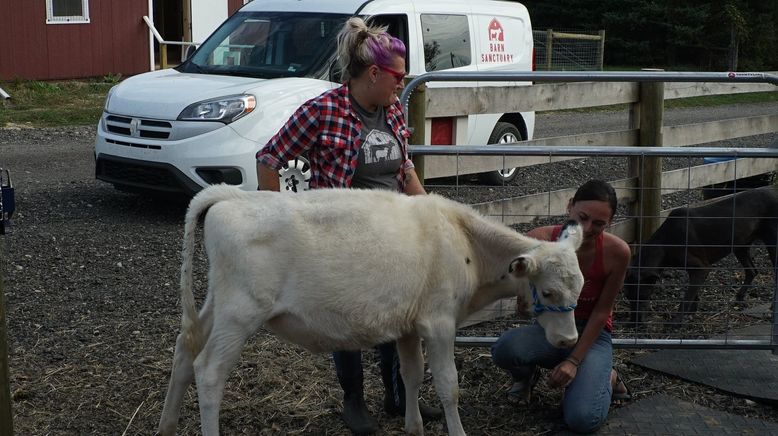 Animal Farm Michigan - Zuflucht für Tiere