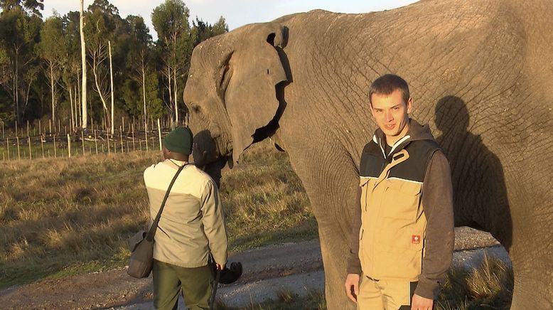 Am Kap der wilden Tiere