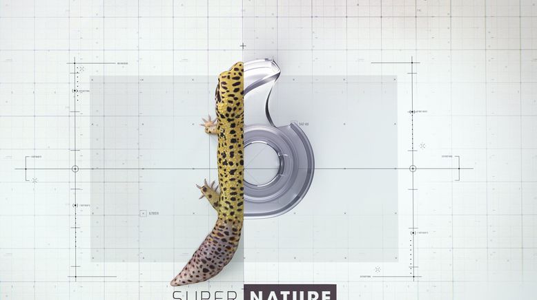 Superkräfte der Natur