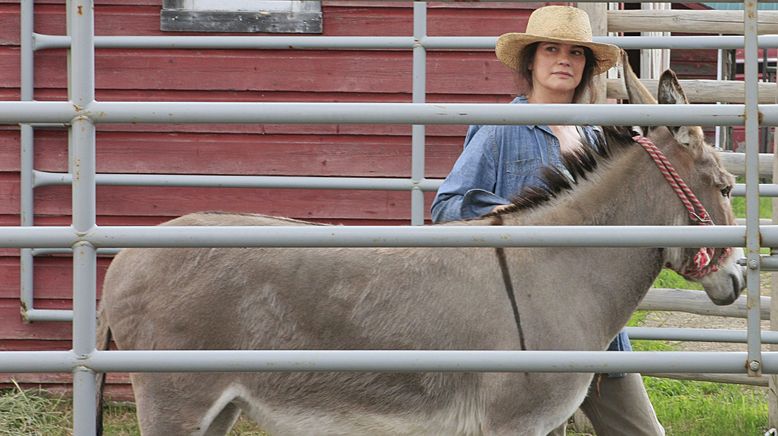 Heartland - Paradies für Pferde