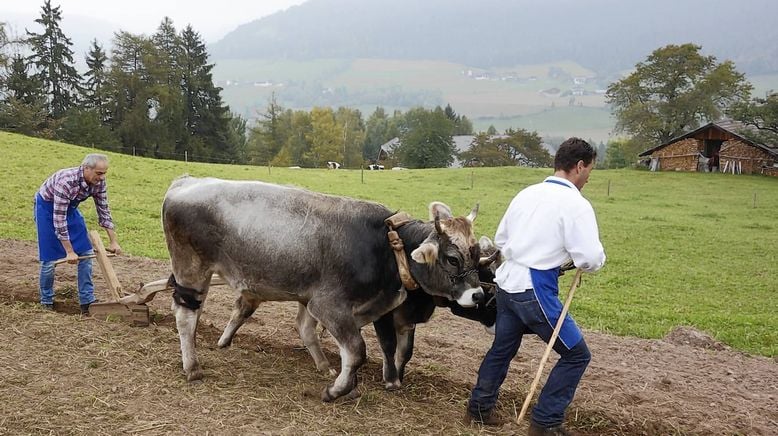 Die Geschichte des Essens (2/3)