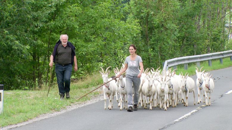 Der Geschmack Europas