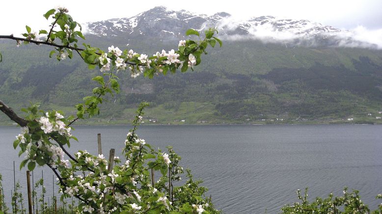 Norwegen: Leben am Hardangerfjord