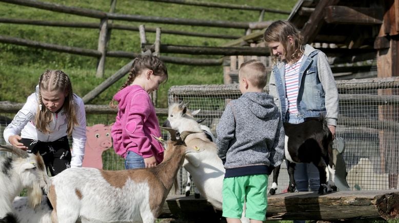 Unter Wölfen, Bären und Geiern - Ein Jahr im Wildpark Mautern