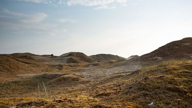 Die Friesischen Inseln - Ein stürmisches Paradies