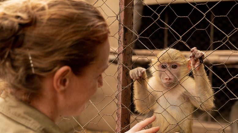 Malawi Wildlife-Rescue