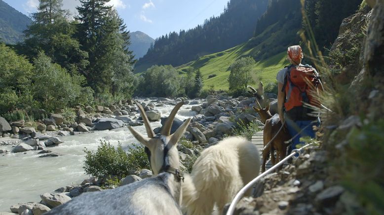 Schweizer Flussgeschichten