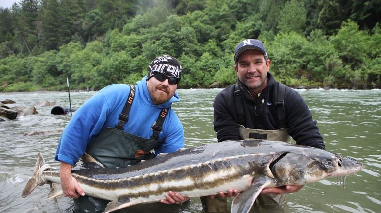 Auf der Suche nach dem Monsterfisch