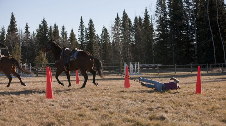 Heartland - Paradies für Pferde