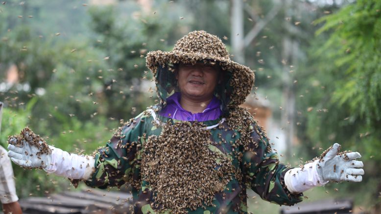 Die Honigsammler von Yunnan