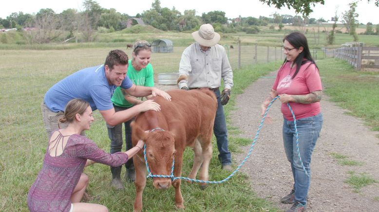 Animal Farm Michigan - Zuflucht für Tiere