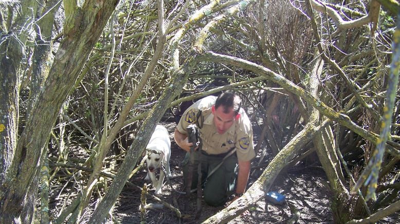 Gesetzeshüter auf Patrouille - Wildes Kalifornien