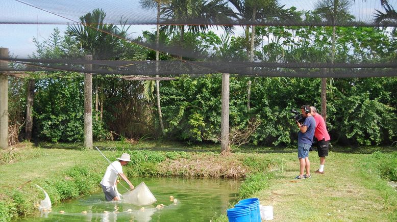 Fish Tank Kings - Gigantische Wasserwelten