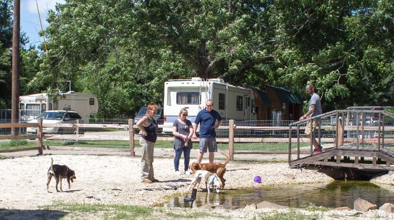 Pitbulls auf Bewährung