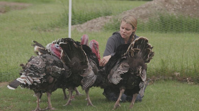 Animal Farm Michigan - Zuflucht für Tiere