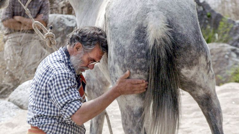 Argentinien, von wilden Pferden und sanfter Hand