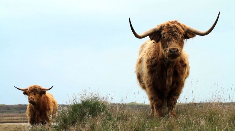 Frankreich - Wild und Schön