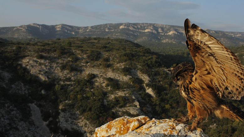 Frankreich - Wild und Schön