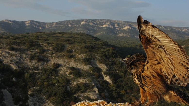 Frankreich - Wild und Schön