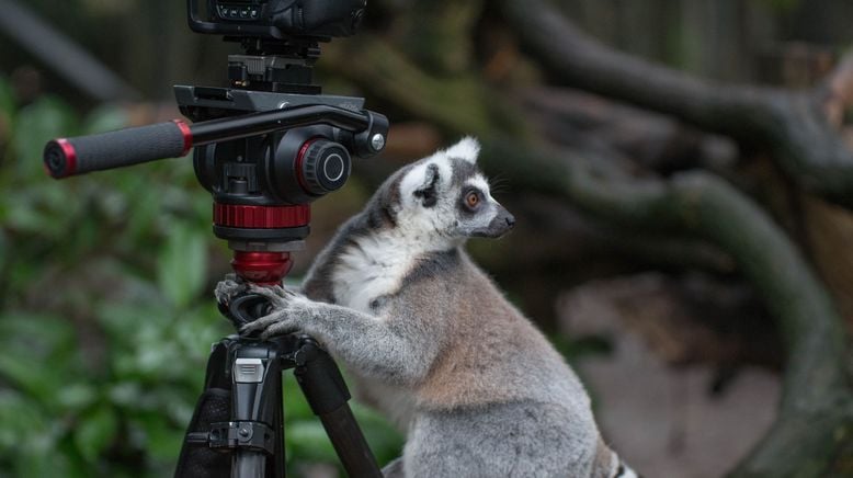 Zoo und so - Tierisch wild!