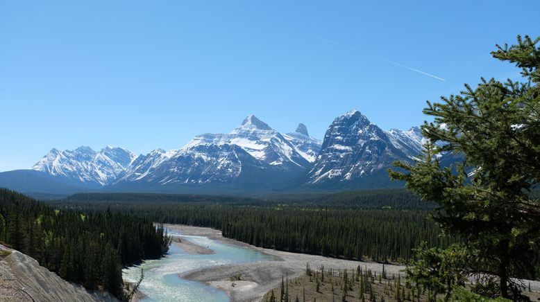 Wilde Rocky Mountains