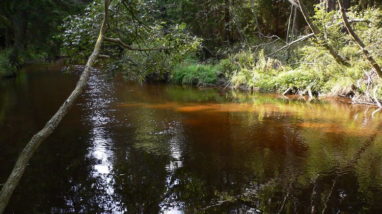 Kamp - Ein Fluss für alle Sinne