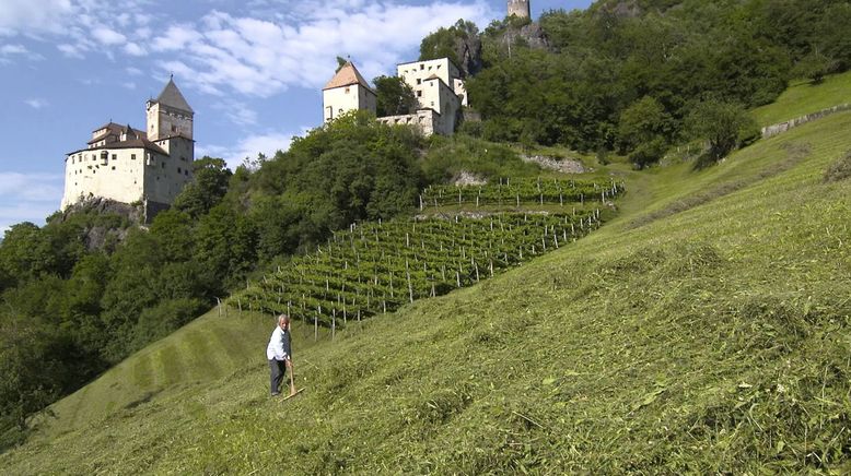 Ein Sommer in Südtirol