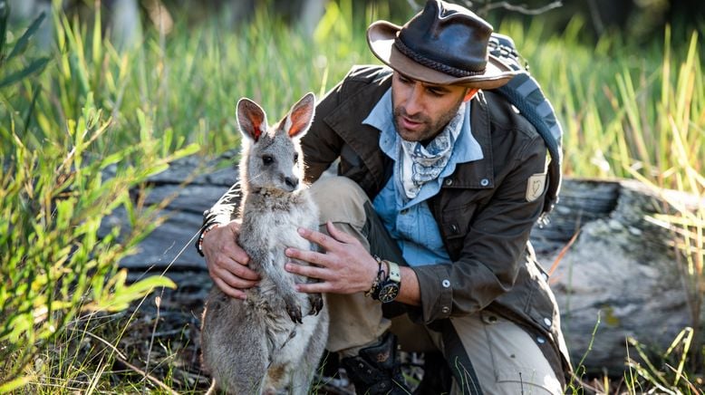 Faszinierende Tierwelt mit Coyote Peterson