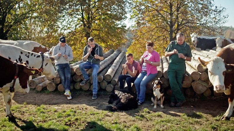 Land - Liebe - Luft