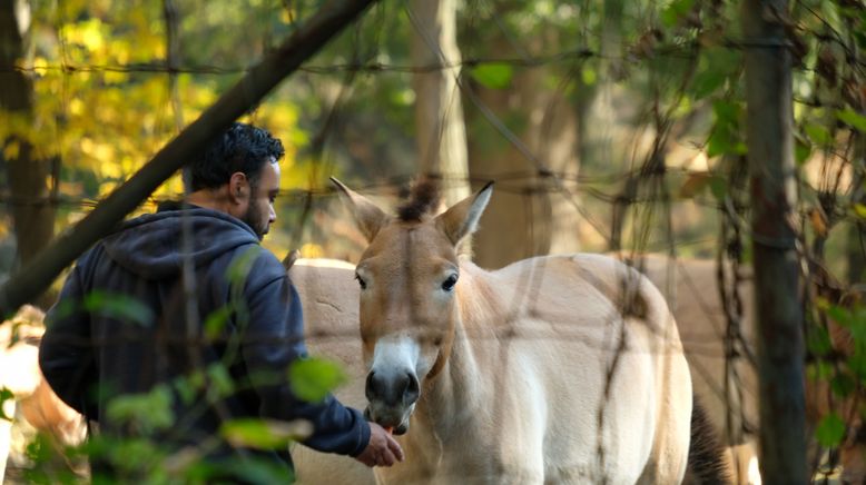 Bronx Zoo - Tierpark der Superlative