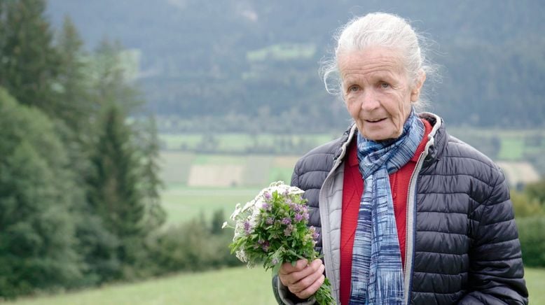 Leben im Drautal