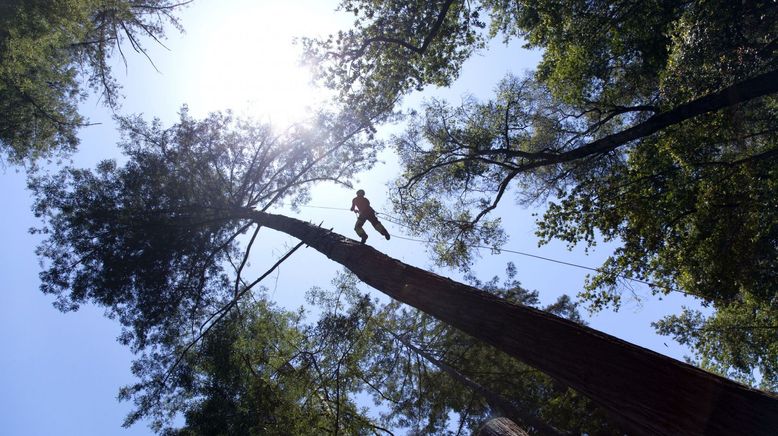 Kaliforniens Traumküste - Leben in Big Sur