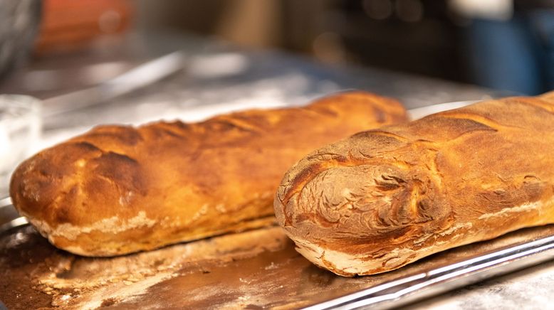 Nelson Müller - Der große Brot-Report