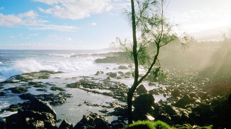 Mauritius - Schatzinsel im Indischen Ozean