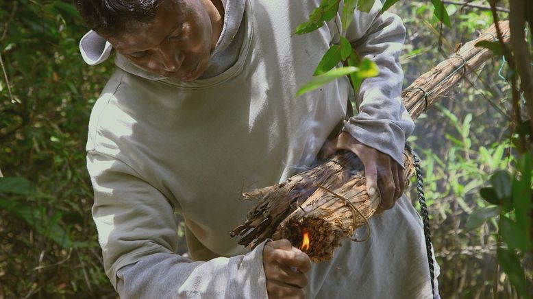 Die Bienenflüsterer