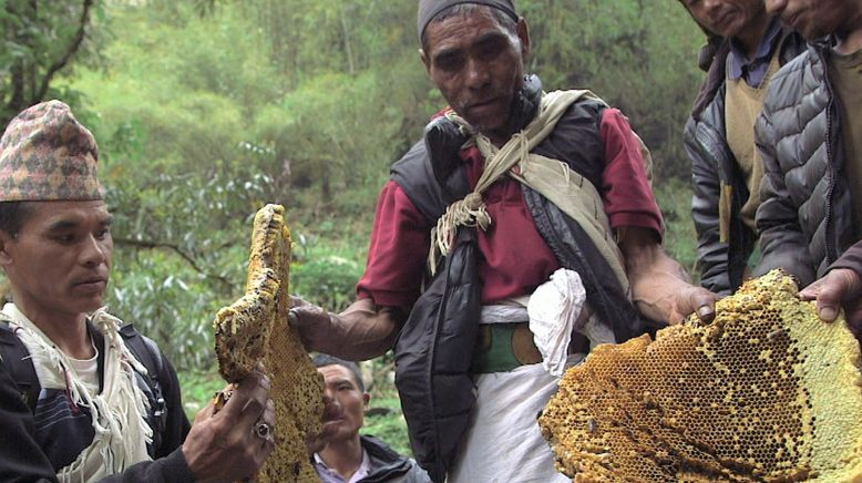 Die Bienenflüsterer