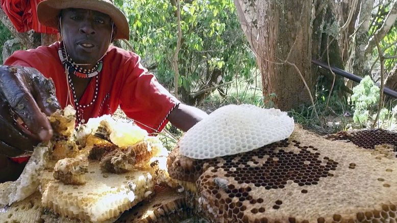 Die Bienenflüsterer