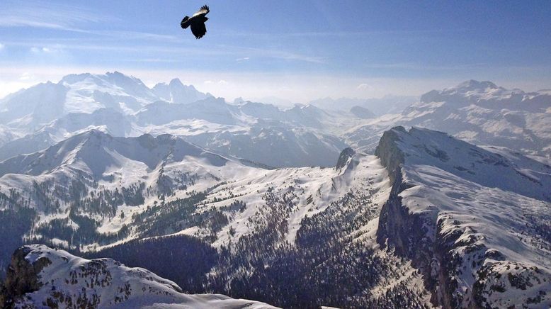 Ein Sommer in Südtirol